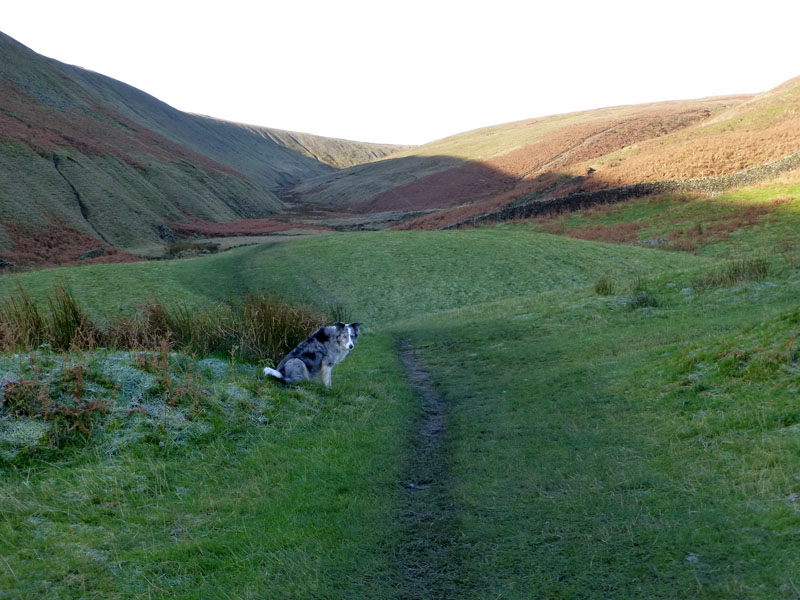 Ogden Clough