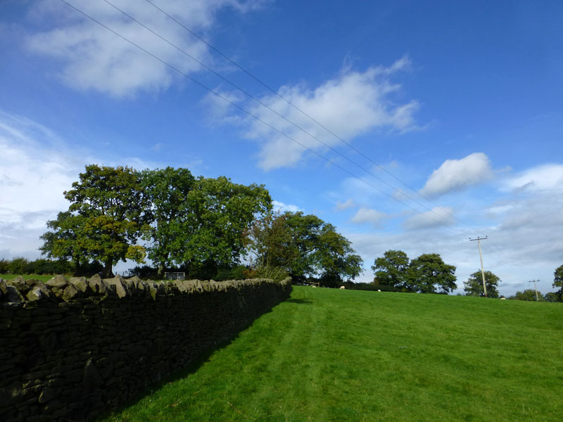 Farmland