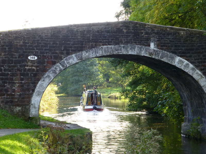 Canal Activity