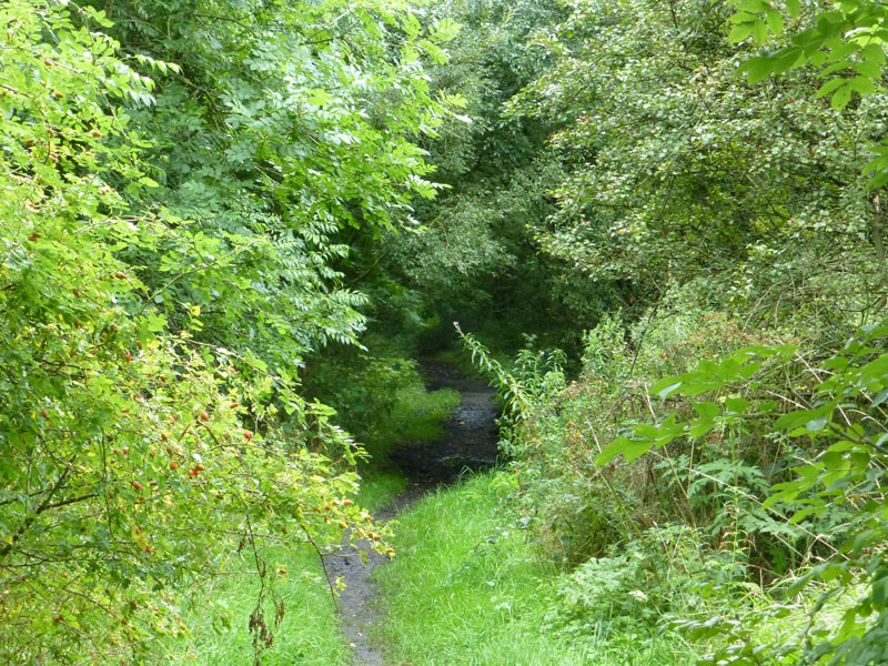 Disused Railway