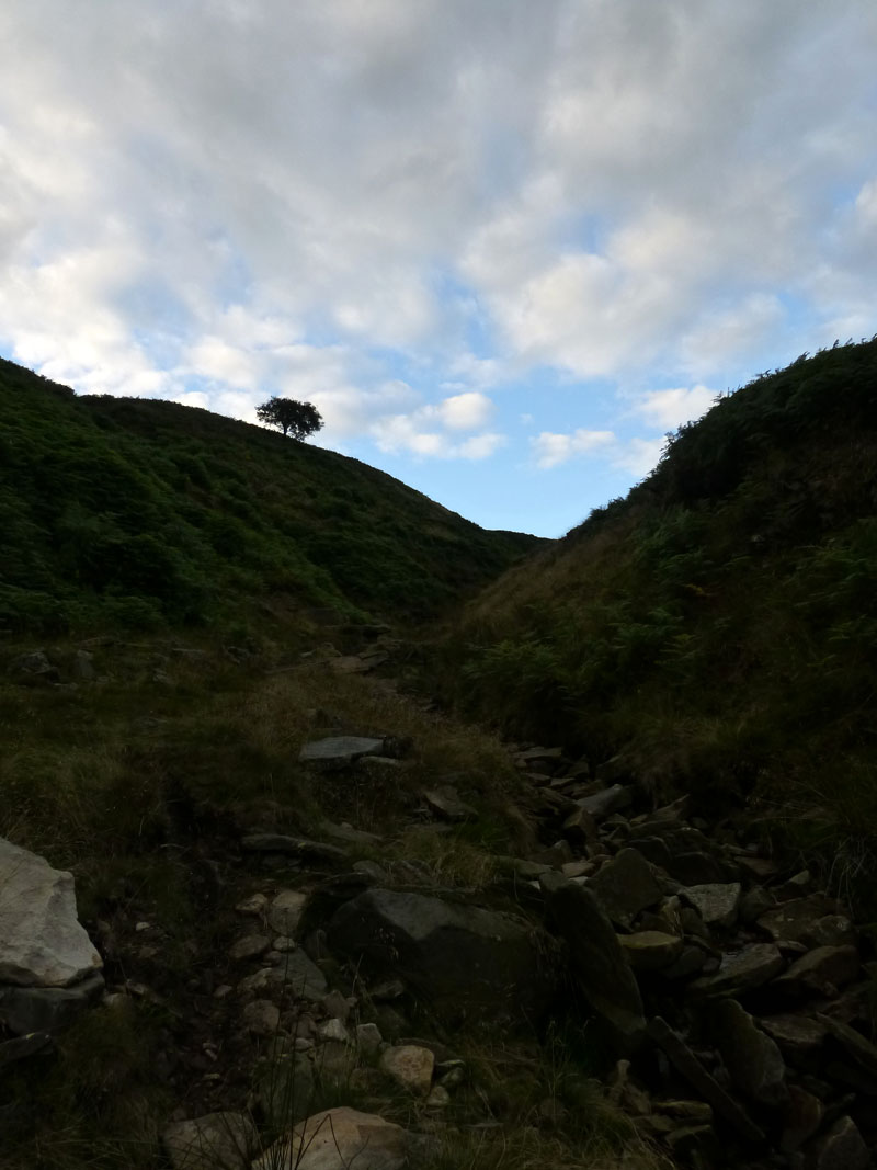 Boar Clough