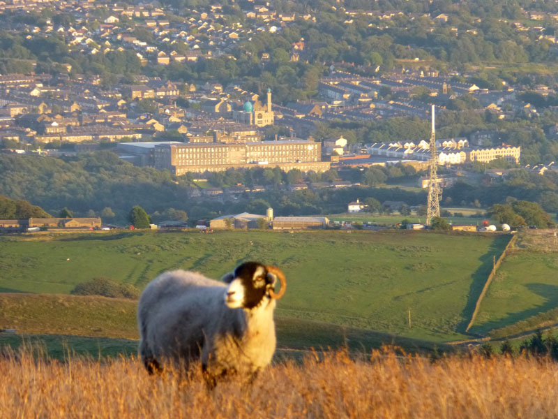 Brierfield