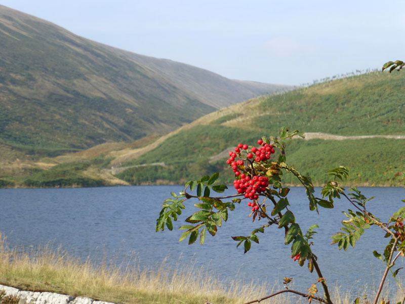 Pendle Autumn