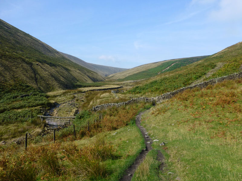 Ogden Clough