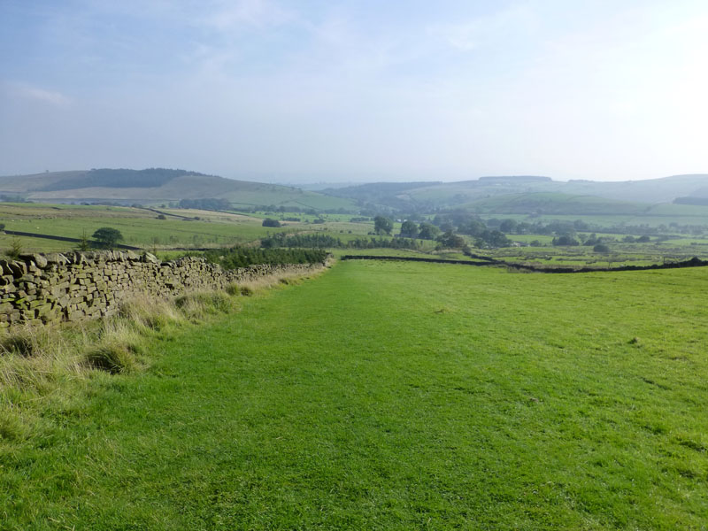 Fields