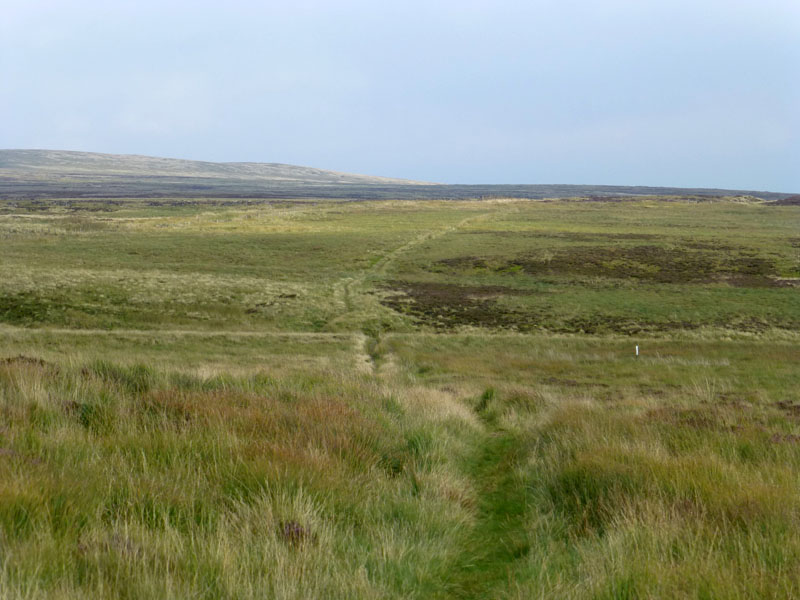 Pennine Moorland