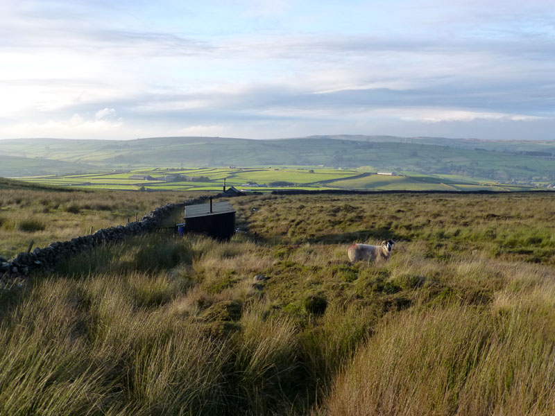 Moorland Sheds