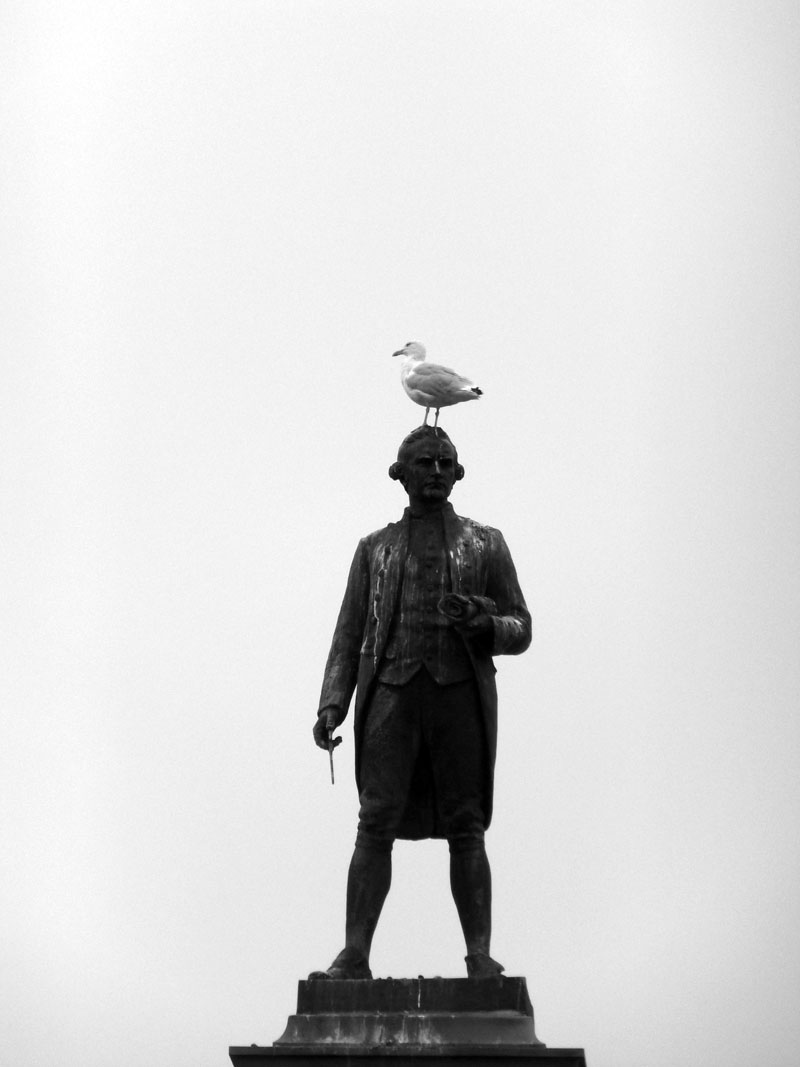 Captain Cook