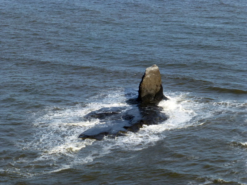 Black Nab