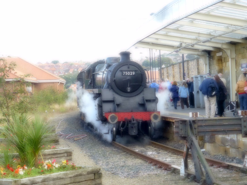 75029 "The Green Knight"