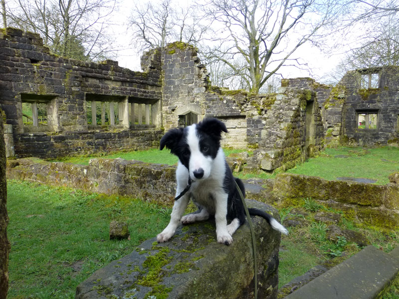 Molly at Wycoller