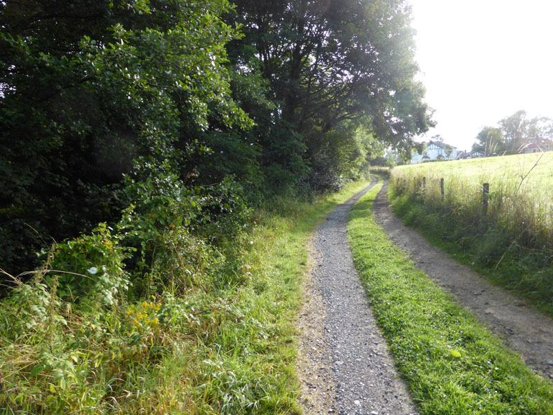 Lower Broach Lane