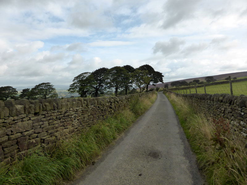 Cob Lane