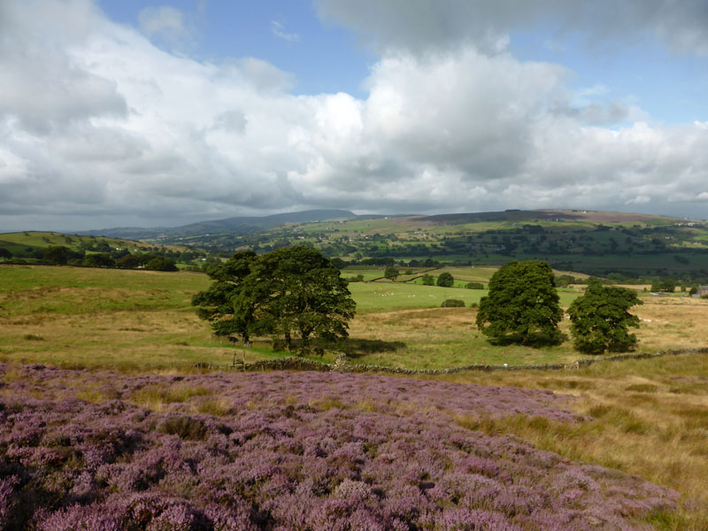 Pendle from Kelbrook