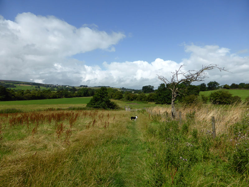 Path to Salterforth