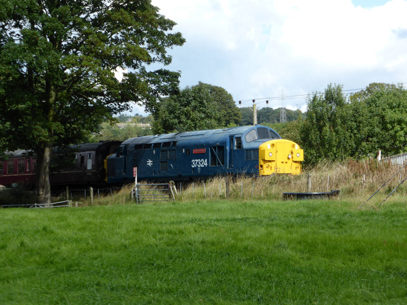 Class 37