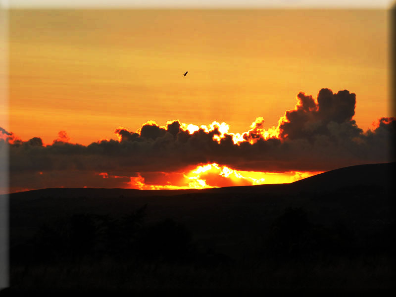 Pendle Sunset