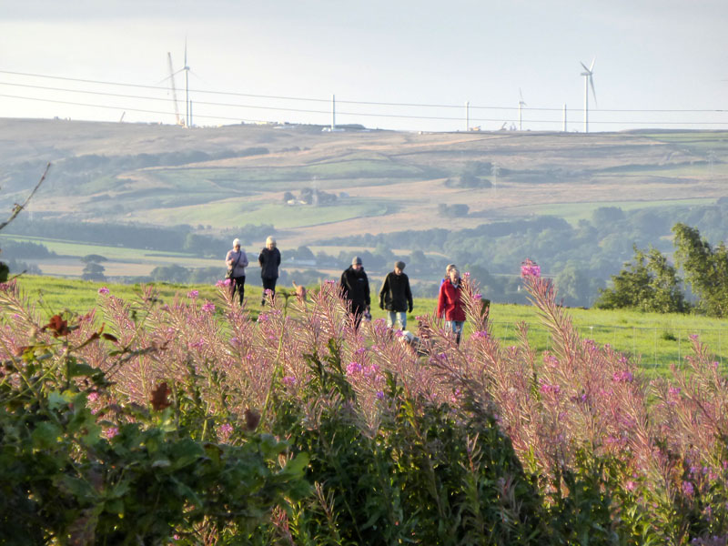 The Dog Walkers