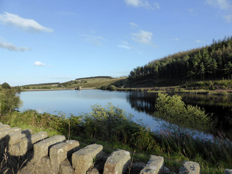 Lower Ogden Res