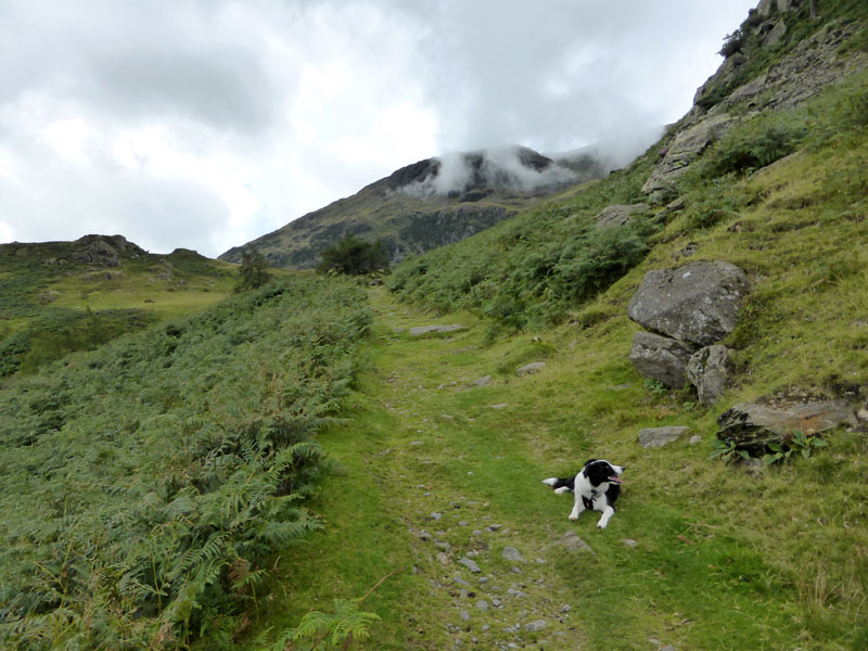 Wetherlam