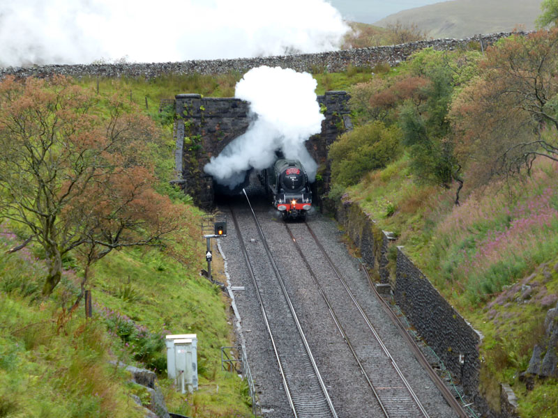 Steam Train