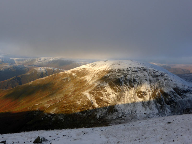 Seat Sandal