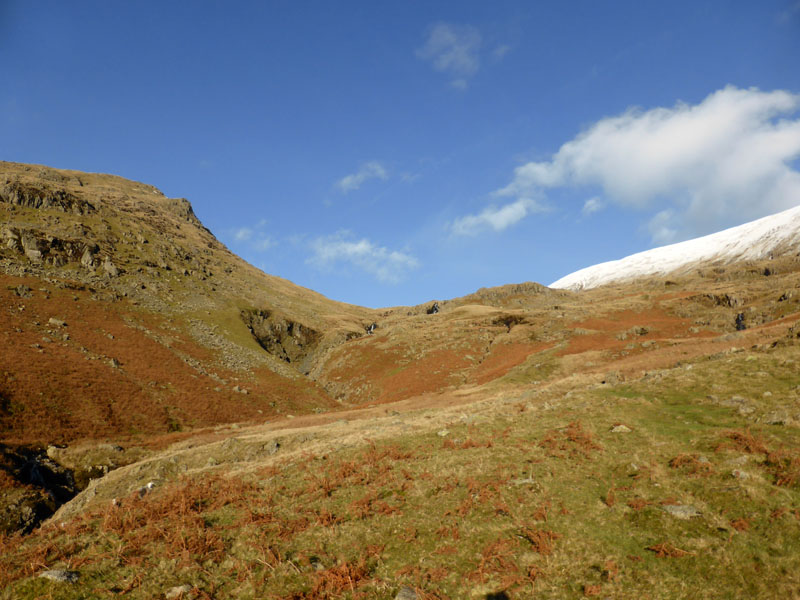 Tongue Gill