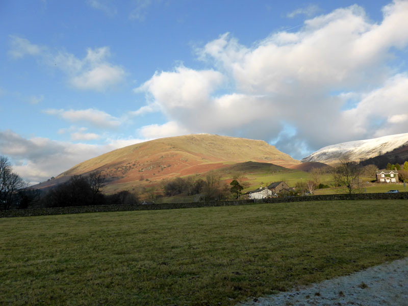 Seat Sandal