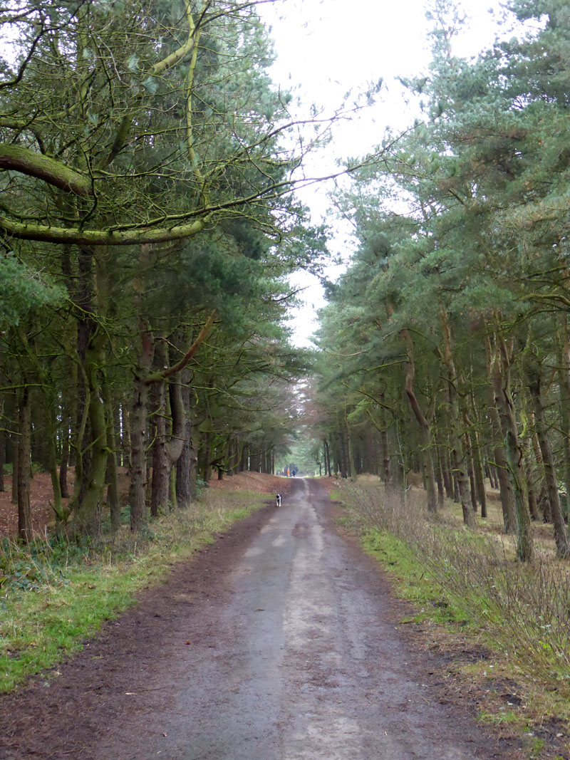 To Hurstwood Reservoir