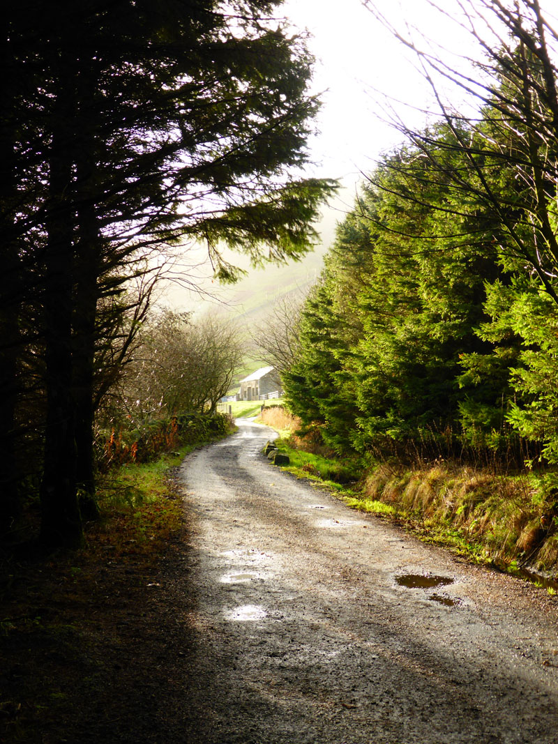 Pendle House Lane