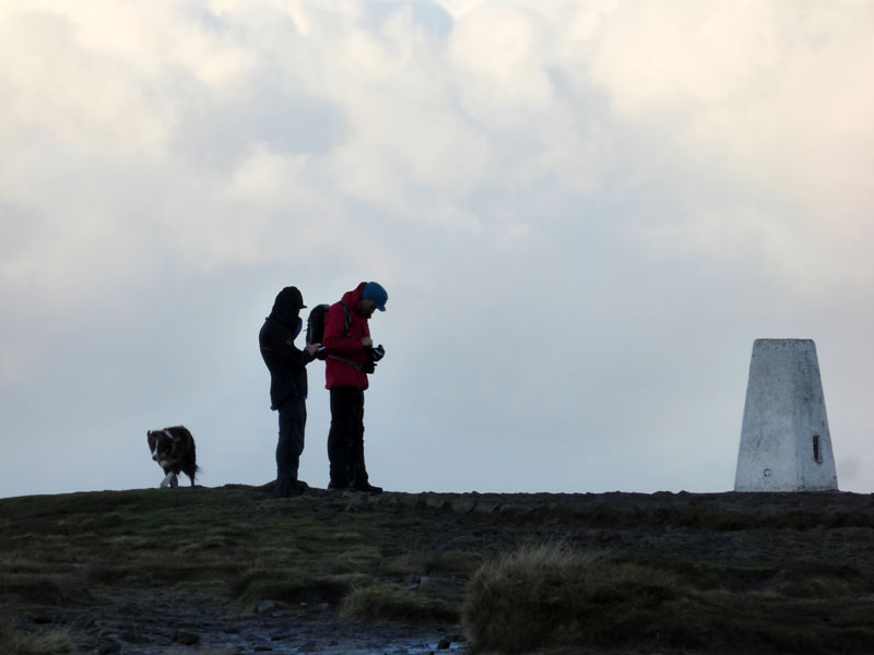 Pendle Phones