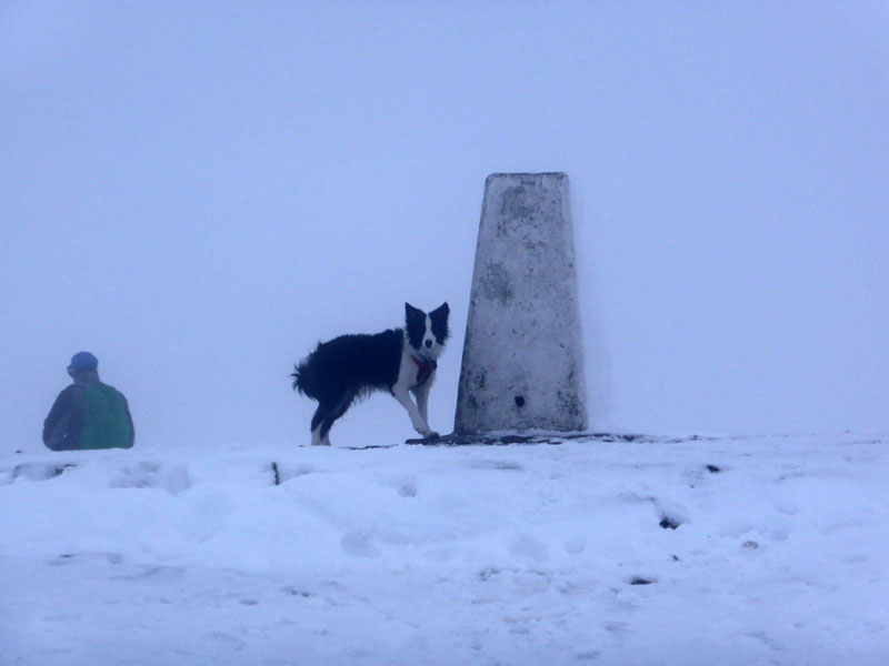 Snowy Pendle