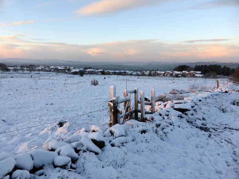 Marsden Heights