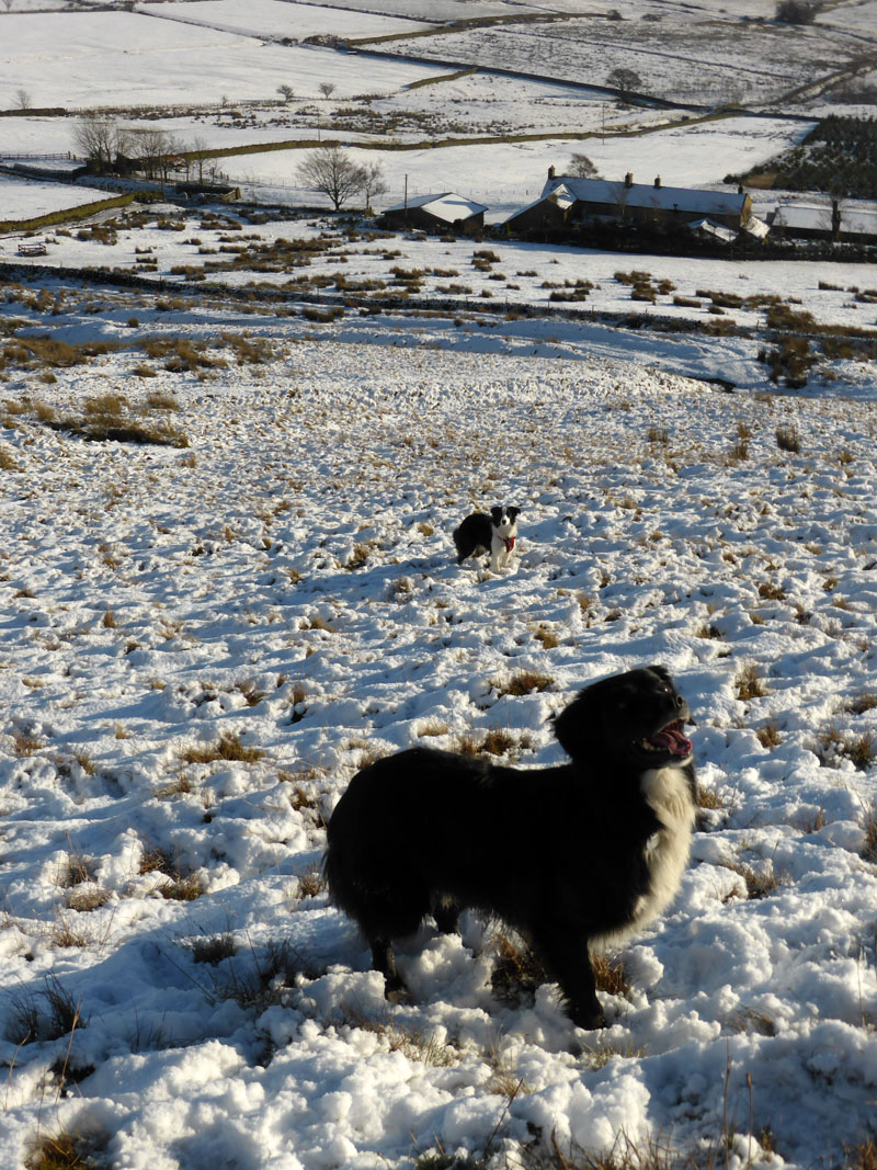 Molly and Smudge