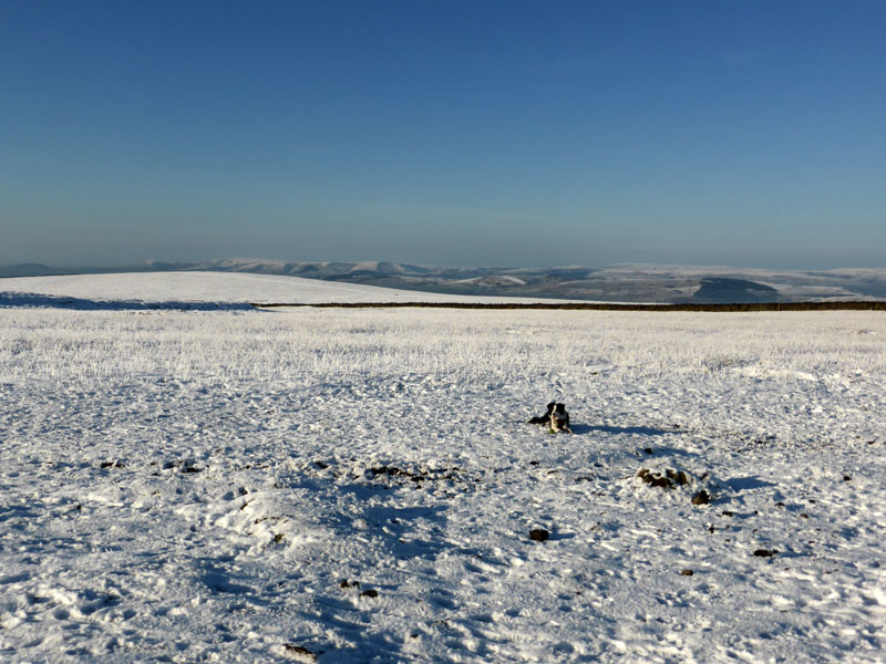 Bowland Fells