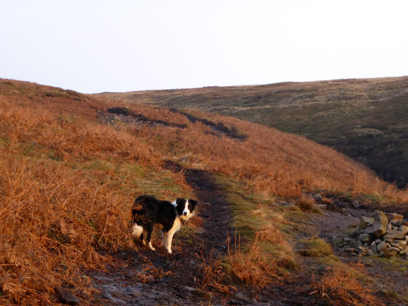 Boar Clough