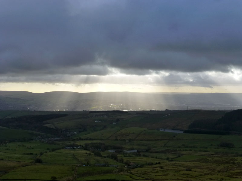 Nelson Sunlight