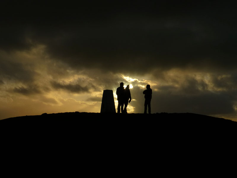 Three Walkers