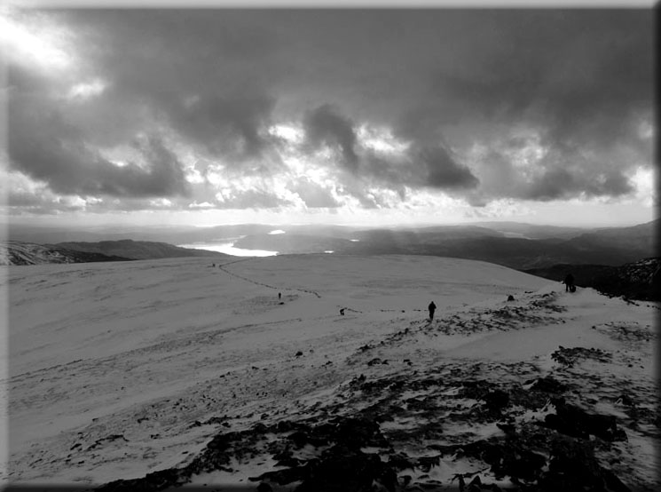 Horseshoers
