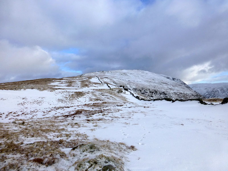 Snow Walk