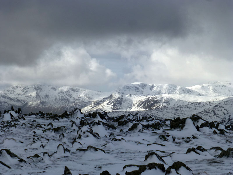 Snowy Scene