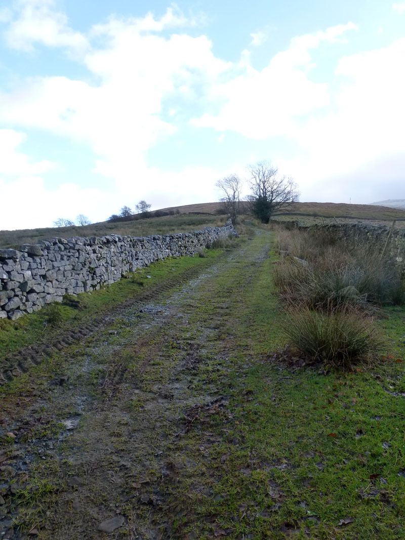 Craven Way