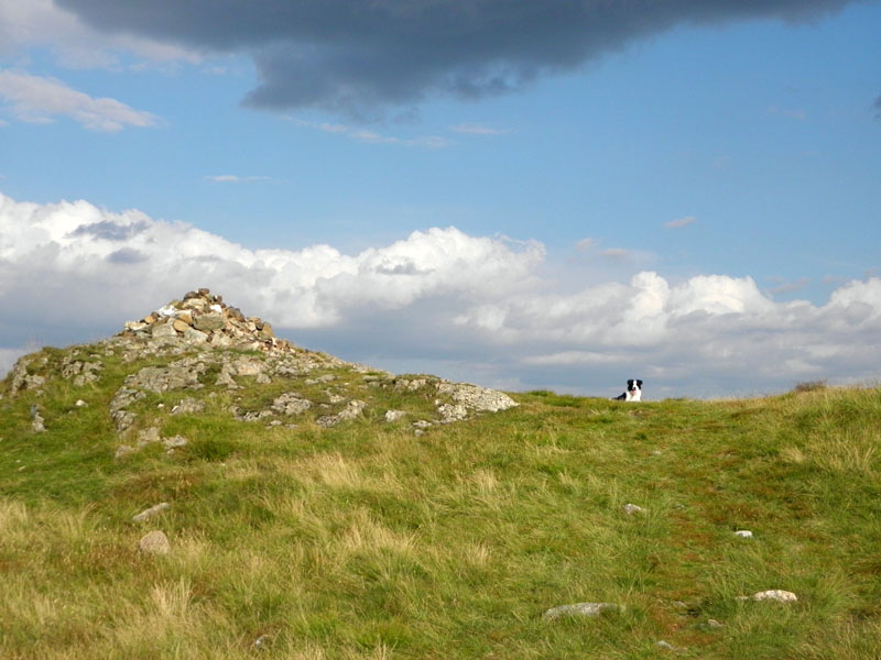 Crag Fell Summit