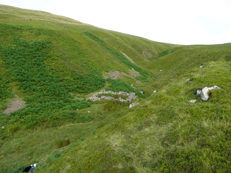 Sheepfold in Ben Gill