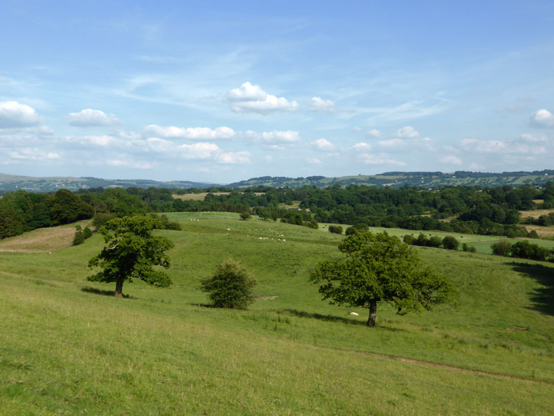 Ribble View