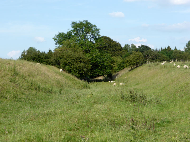 Railway Cutting