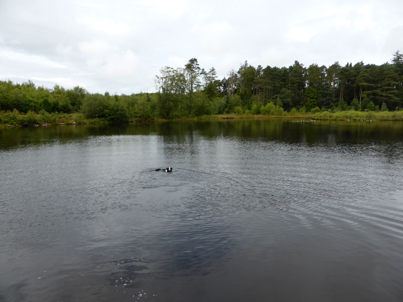 Muncaster Tarn