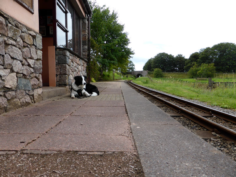 Muncaster Mill Station