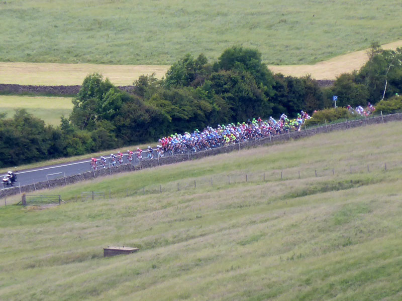 tour de france peloton