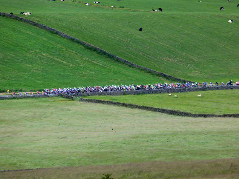 peloton